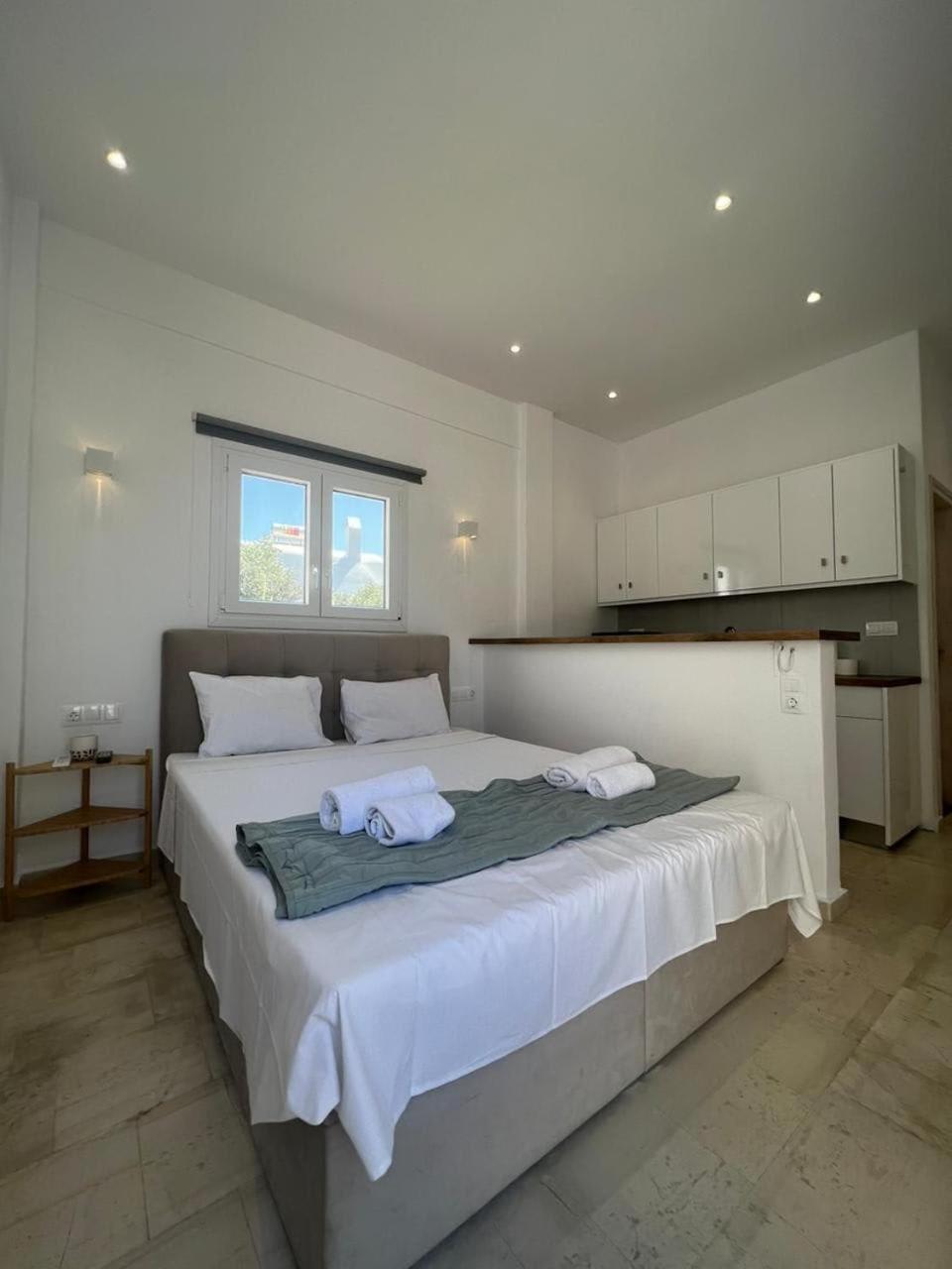 Gorgeous Mykonian In Holiday home *